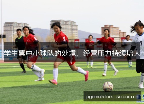 学生票中小球队的处境，经营压力持续增大